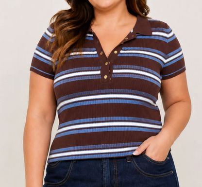 Multi-Color Stripe Ribbed Polo Top
