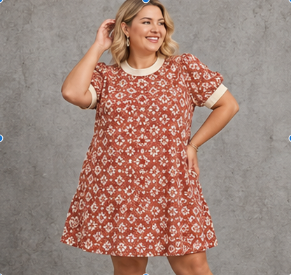 Textured Puff Sleeve Mini Dress