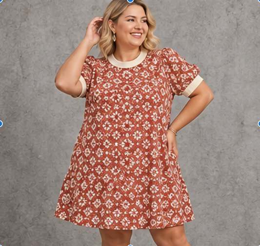Textured Puff Sleeve Mini Dress